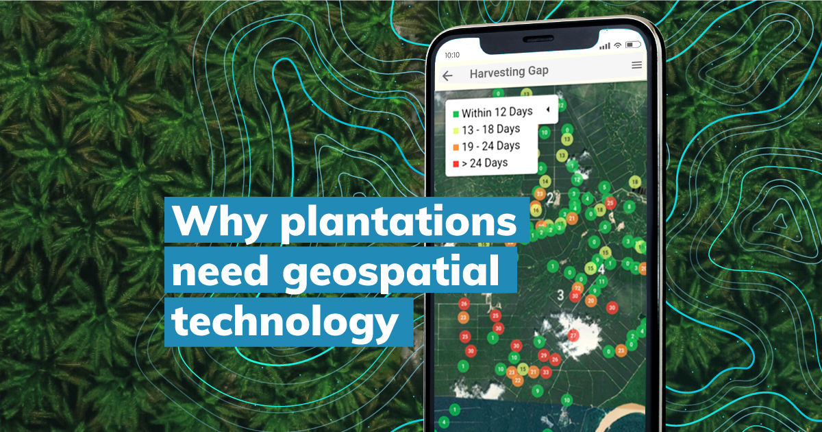 geospatial technology palm oil plantation