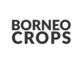 borneo_crops