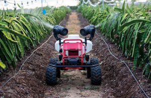 agriculture technology: mini UGV spray machine